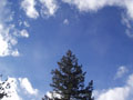pretty colorado sky.jpg